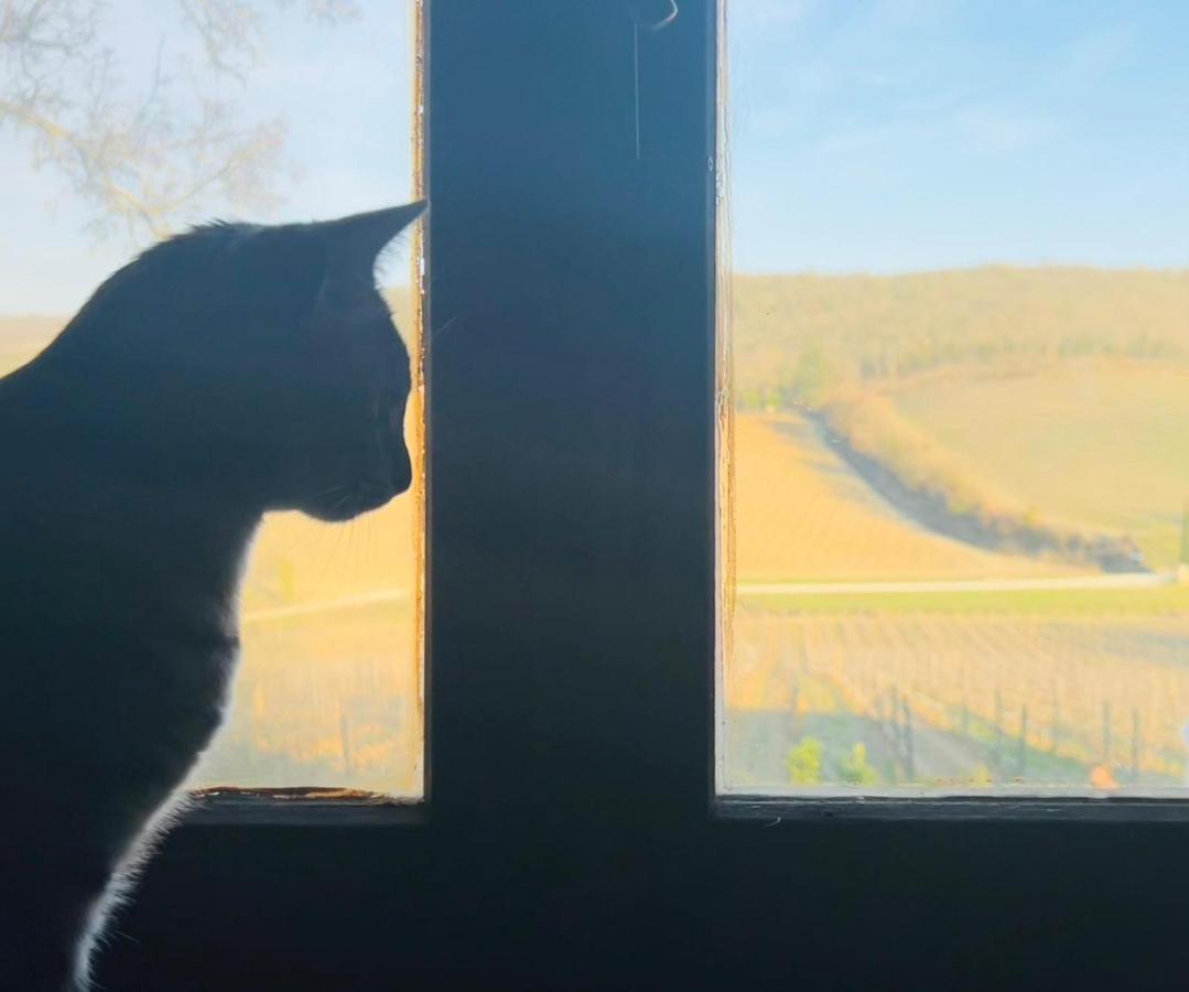 Locanda Podere Le Vigne Radda in Chianti Eksteriør billede