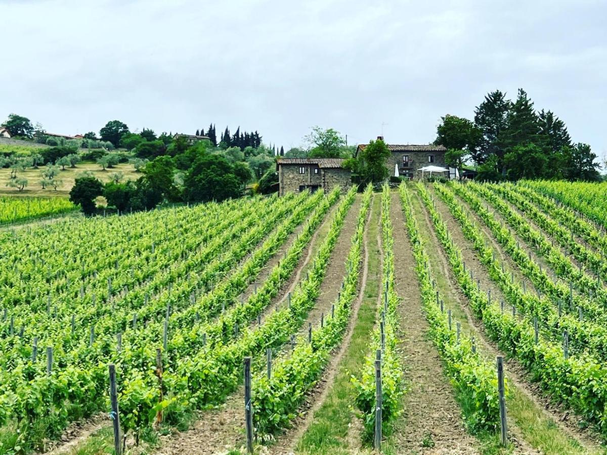 Locanda Podere Le Vigne Radda in Chianti Eksteriør billede