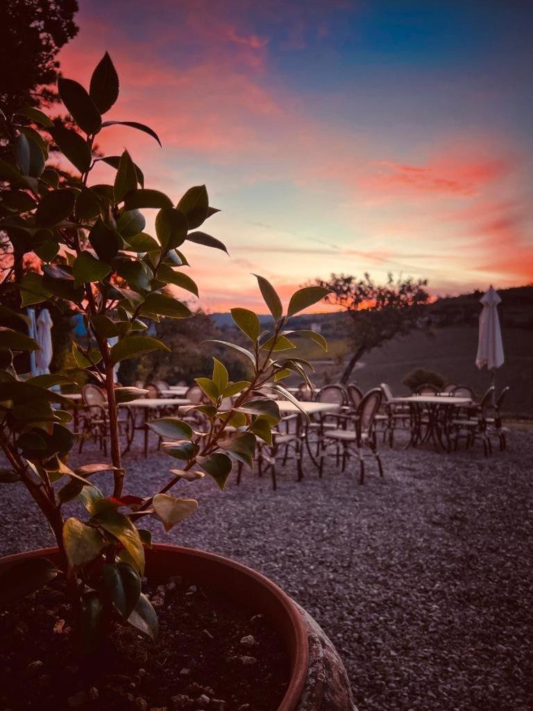 Locanda Podere Le Vigne Radda in Chianti Eksteriør billede